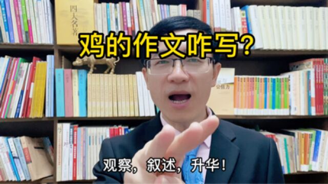 #看点优质作者定向邀约真实故事,独一无二!鸡的作文怎么写?#【知识星】泛知识优质创作者邀请@腾讯