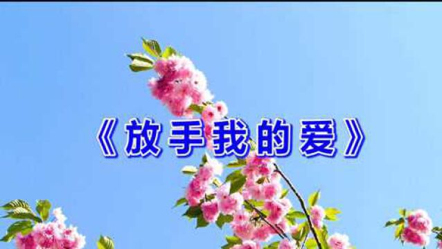 一首情歌《放手我的爱》旋律忧伤动听,歌曲深情感人,听哭了!