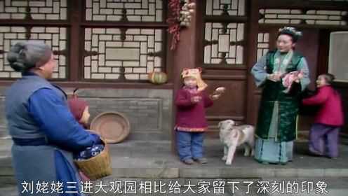 红楼梦：刘姥姥三进大观园，彼此相互耍猴