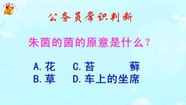 公务员常识判断,朱茵的茵的原意是什么?难倒了学霸