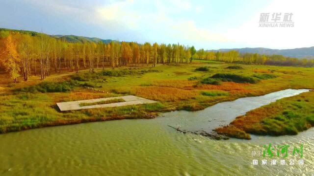 千城胜景|山西静乐奏响乡村振兴“交响曲”