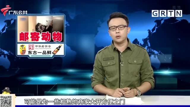 记者调查:部分网购商家邮寄活物 快递点禁收