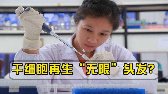 科学家用人体干细胞再生“无限”头发,脱发有救了?并且没副作用