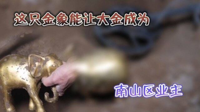 户外寻宝 小伙用探测器寻得一只金大象 能让他成为南山区业主吗