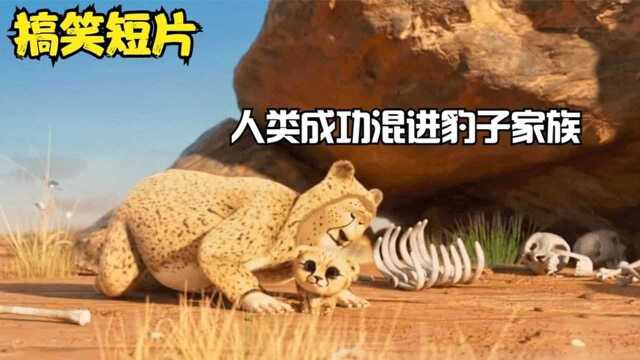 男人伪装成猎豹,成功混进了豹子家族,最后却当起了奶妈