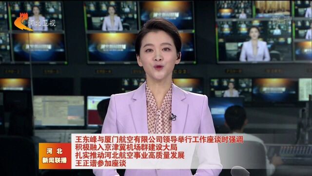 王东峰与厦门航空有限公司领导举行工作座谈