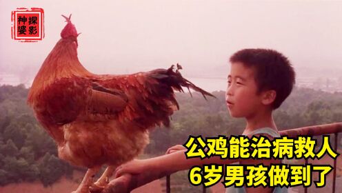 6岁男孩将公鸡训的比狗还听话，还能飞天治病救人，国产催泪电影
