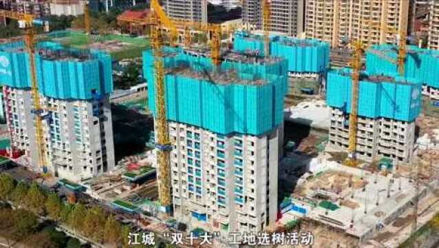 武汉这场建筑业“嘉年华”,他们将获武汉市总工会大奖