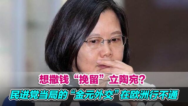 台当局称拟设2亿美元基金投资立陶宛产业,专家:撒钱起不到任何效果