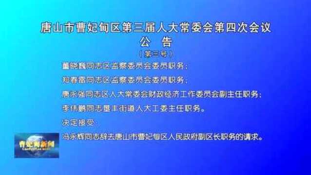 唐山市曹妃甸区第三届人大常委会第四次会议公 告(第三号)