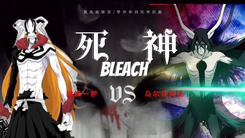 境界BLEACH 牛头一护VS乌尔奇奥拉 纯享战斗解说