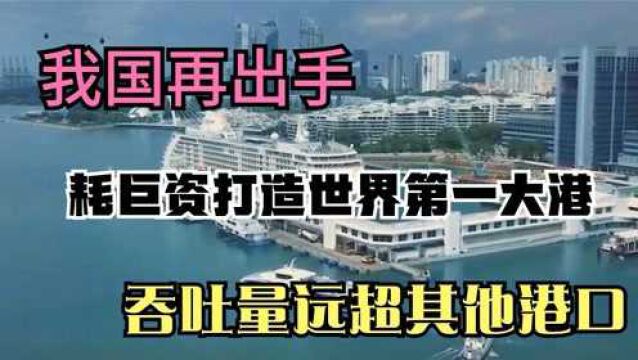 我国再出手,耗巨资打造世界第一大港,吞吐量远超其他港口