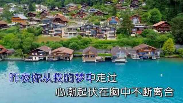 周龙豪演唱歌曲《为你而歌》KTV版