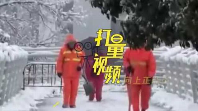 南方多地降雪!江苏大丰保护区麋鹿踏雪 湖南张家界山中雾凇皑皑