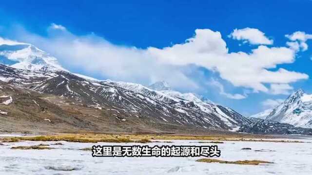 中国最大的无人区,堪称生命的禁地,可可西里无人区有多危险?