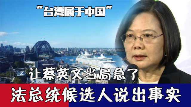 “台湾属于中国”,法总统候选人说出事实,让蔡英文当局急了