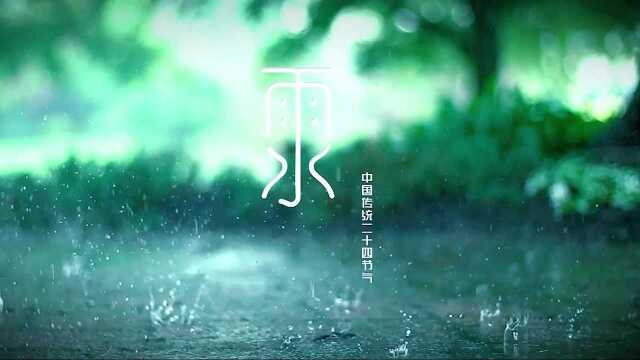 传统农历二十四节气雨水