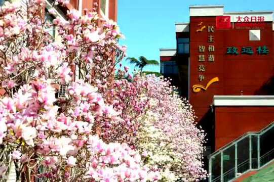 淄博市临淄区让每个孩子“上好学”“快乐学”“平等学”