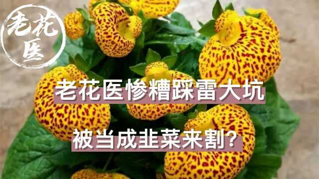 老花医惨糟踩雷大坑,被当成韭菜来割?老花医开箱评测