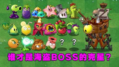 植物大战僵尸：1阶金卡VS海盗boss！哪些植物能获胜？