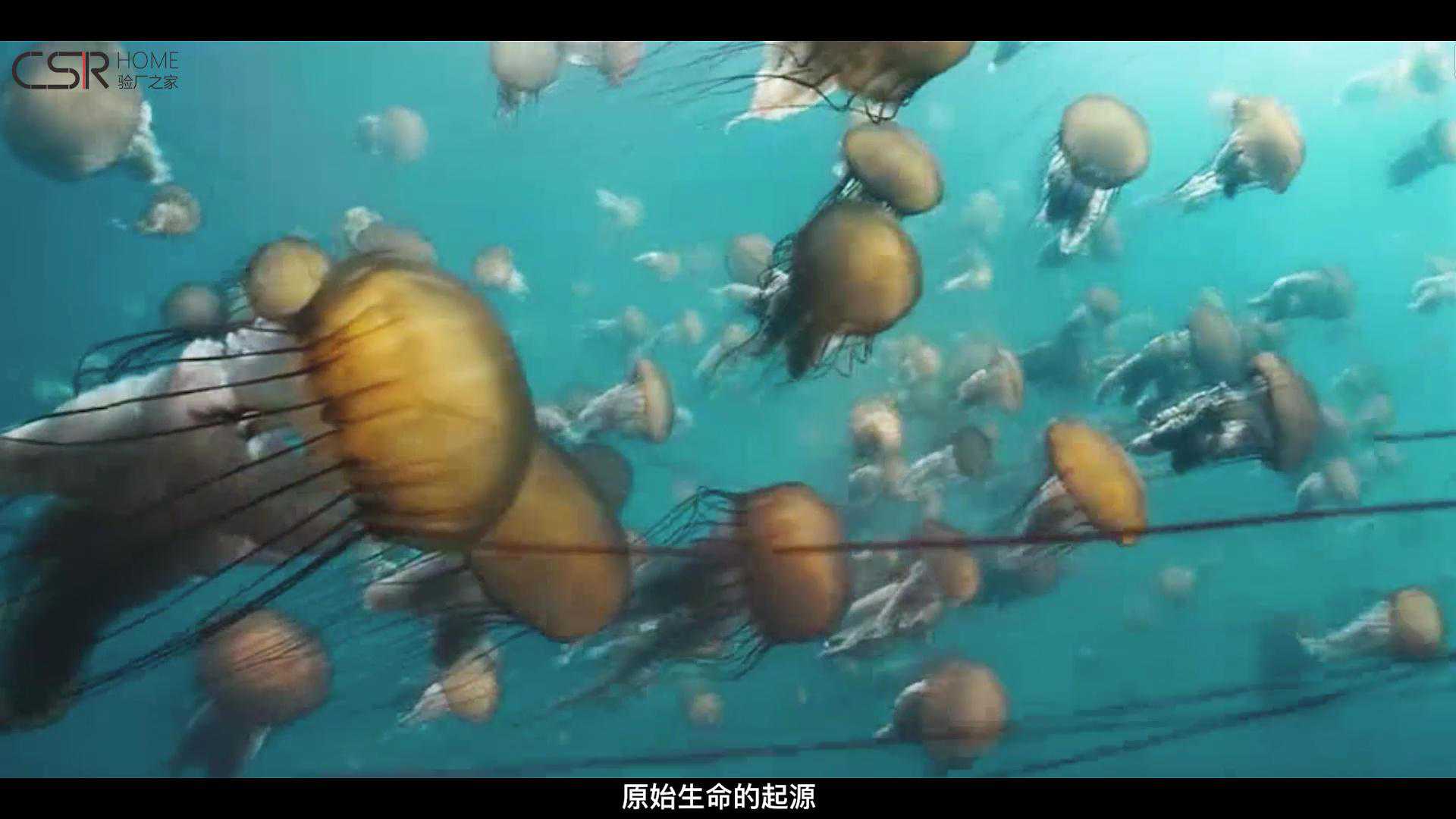 OBP海洋塑料认证-OBP海洋塑料认证|OBP认证咨询|OBP认证机构|OBP认证辅导--验厂之家