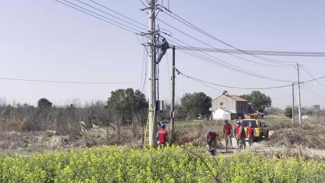 春耕农时,电力人员爬杆为农户进行增容工作