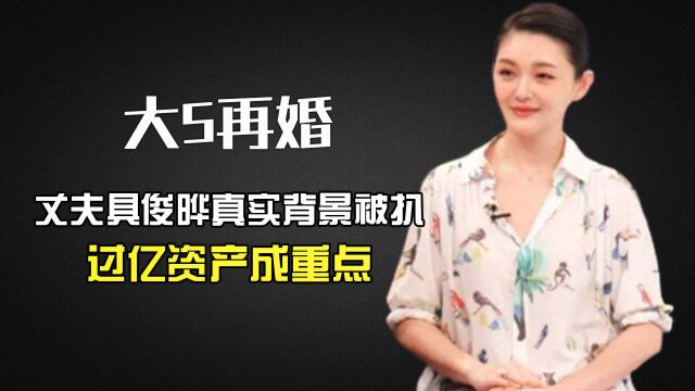 大S闪婚细节透露真相,丈夫具俊晔背景出人意料,百亿资产成焦点