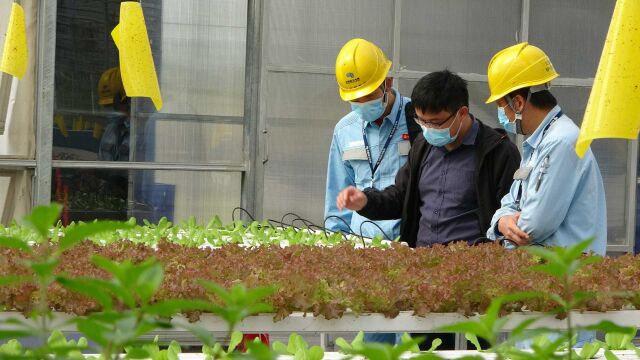 同心战疫!南方电网急香港之所急,多措并举守护供港“菜篮子”