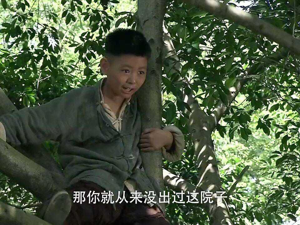 明日已太远：侄儿告状，说养子的坏话，不料养子敢作敢当老爷喜欢_高清1080P在线观看平台_腾讯视频