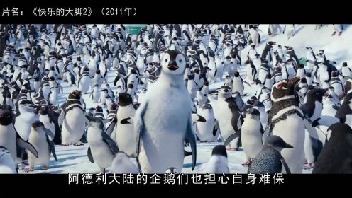 一只会飞的企鹅想要争夺领袖位置 反而被揍扁了