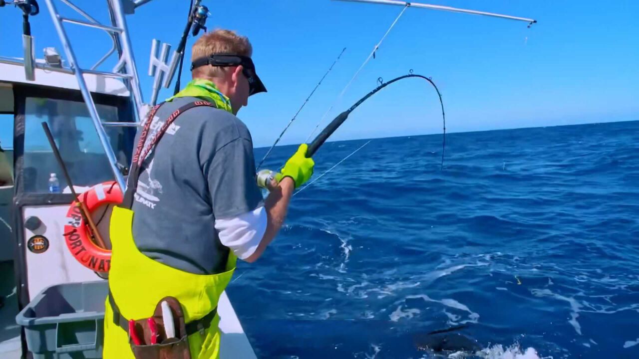 深海狩猎金枪鱼纪录片:日食前往深海捕捞,收获满满出乎意料!