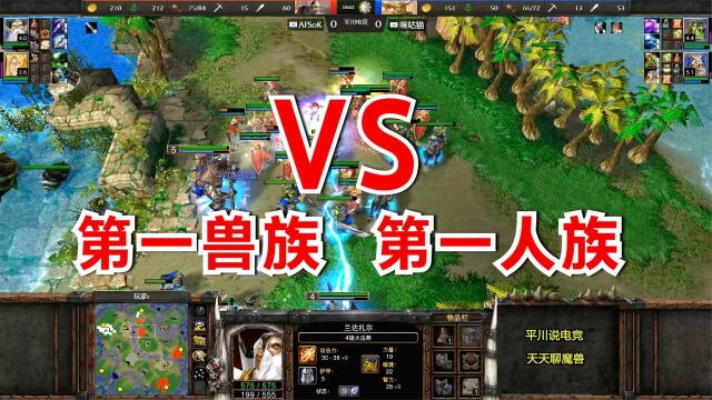 人兽大战,第一兽族 vs 第一人族,Lyn大战Sok!魔兽争霸3