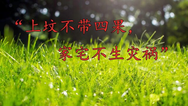 清明将至,老人说“上坟不带四果,家宅不生灾祸”,四果指哪4个