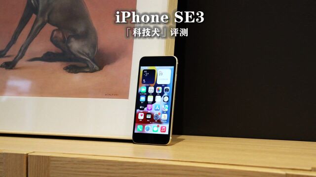 iPhone SE3评测:最具性价比的“保留果籍”且不值得买苹果手机