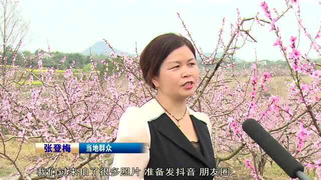 荒山变果园 生态经济效益双丰收