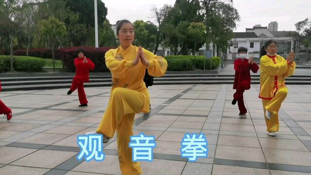 《观音拳》由掌起惠娥太极堂师徒演示(主演厉惠娥)