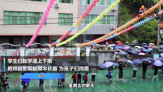 爱意满满!下雨天老师自发为学生们筑起雨伞长廊