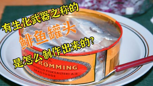 鲱鱼罐头为什么这么臭？它到底是怎么制作的？看完你敢尝试么？