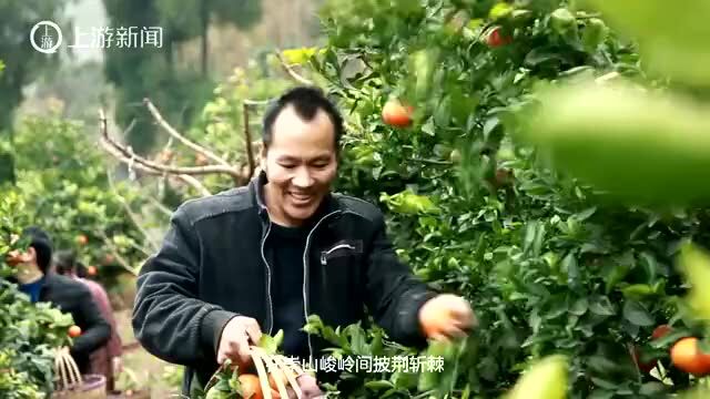 穷乡庙堂消失之后