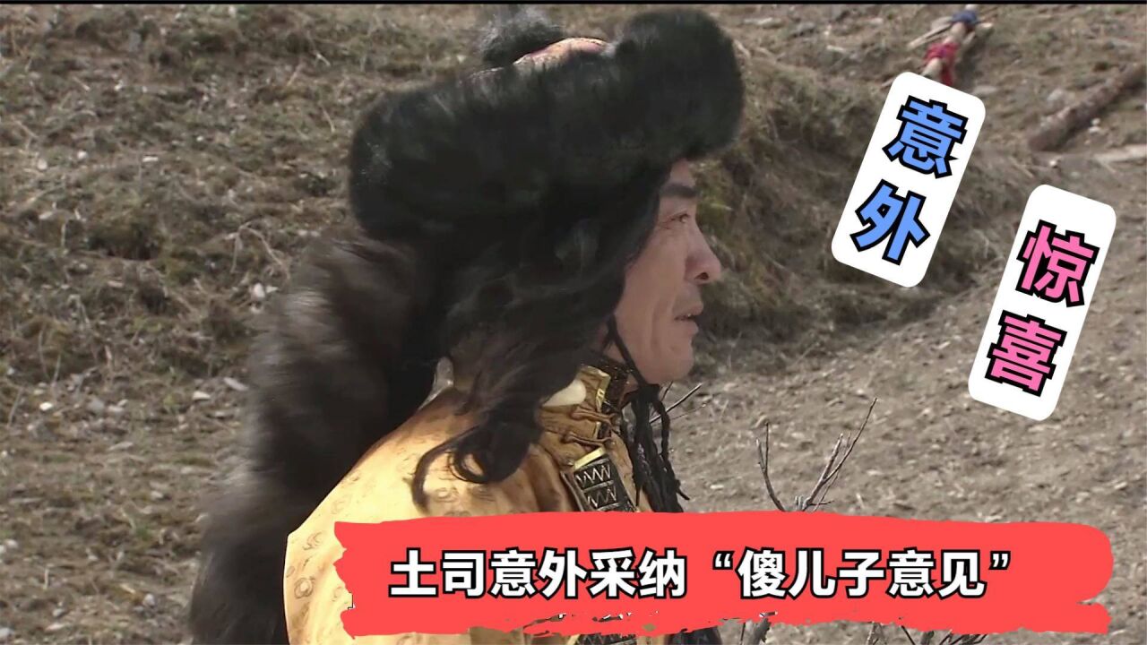 麦琪土司,采纳了傻儿子的意见,结果让他意外和惊喜