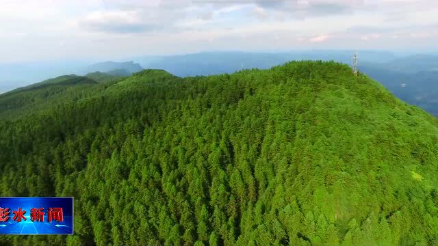 摩围山景区入选重庆首批13家市级森林康养基地