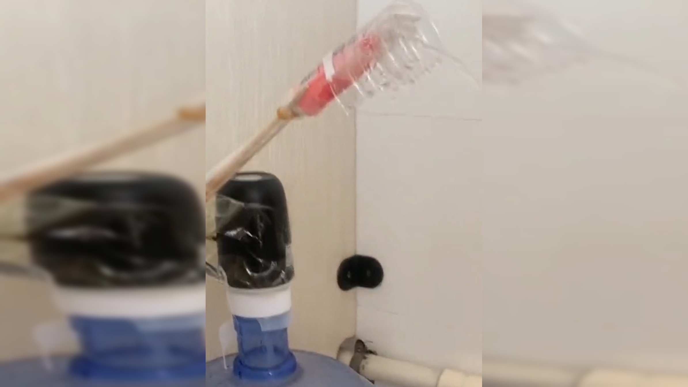 大学女生为洗澡用空桶灌热水,在寝室自制洗澡神器