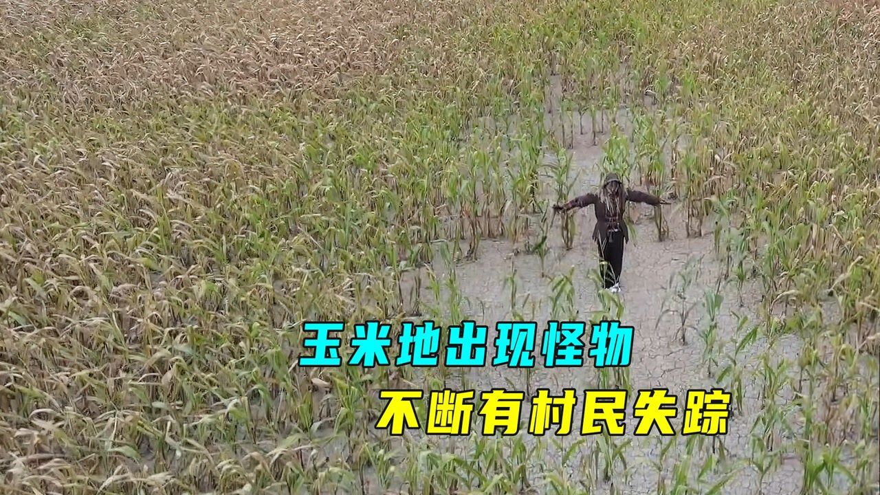*快手娱乐星熠计划第七期*我在快手追好剧*快手放映室@快手热点