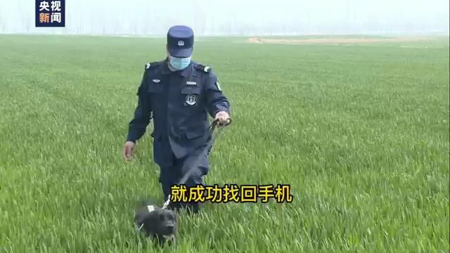 央视新闻报道