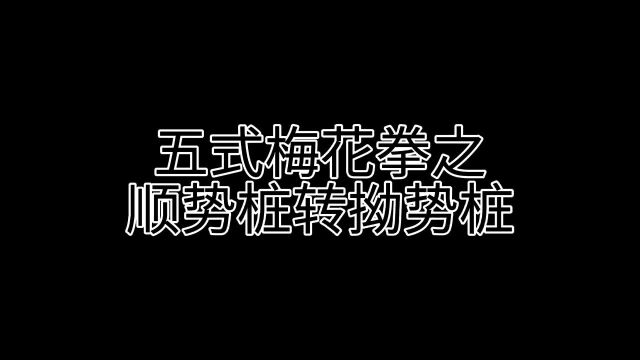 梅花拳静功拳架变化(3)顺势转拗势