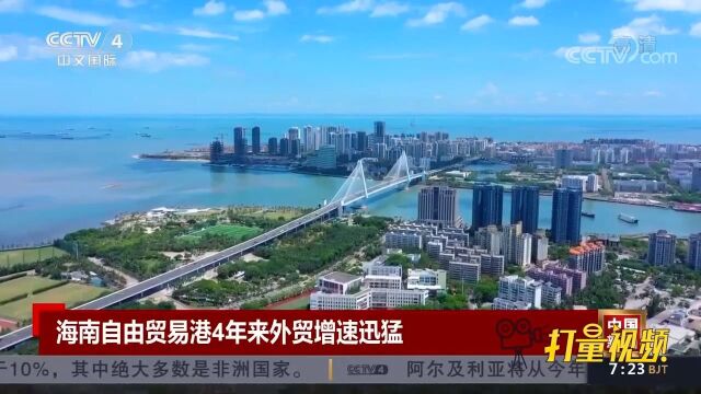 海南自贸港外贸增速迅猛,进出口值年均增长20.4%