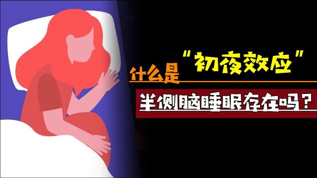 什么是“初夜效应”?半侧脑半球睡眠真的存在吗?