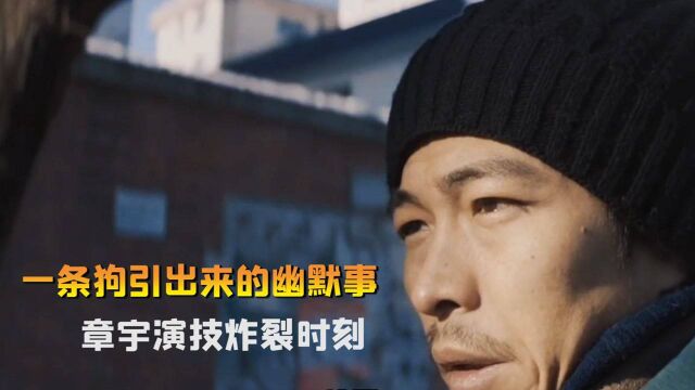 章宇最新电影,一条狗引来的幽默事,演技炸裂