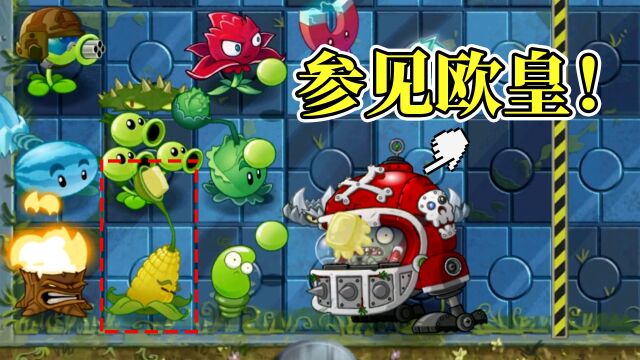 Pvz2:小萨最欧的一次,直接无视最优解!