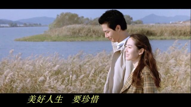 音乐MV //花好月圆在一起【根据尚平 《人生有爱为了情》制作】